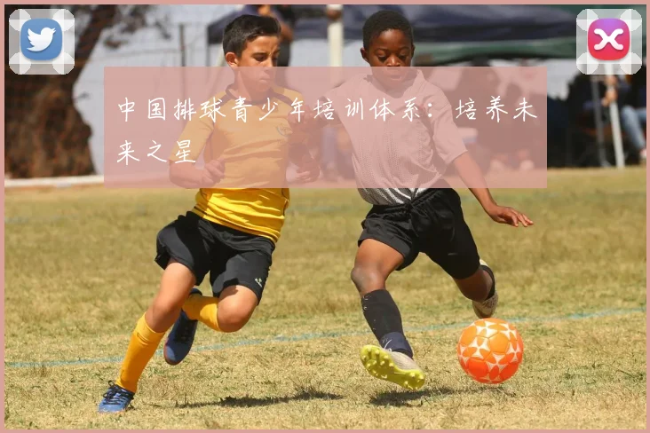 中国排球青少年培训体系：培养未来之星
