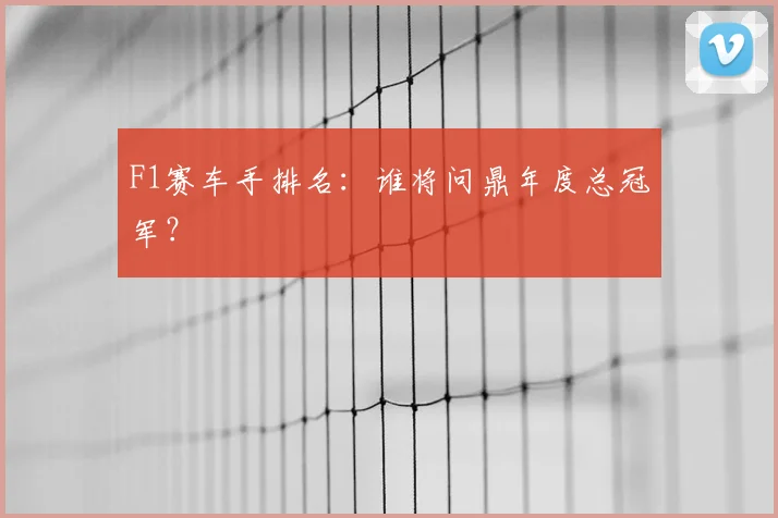 F1赛车手排名：谁将问鼎年度总冠军？